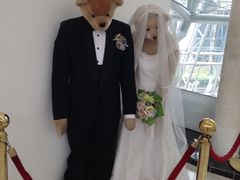 -济州岛泰迪熊博物馆