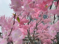 -首开·龙湖成都西宸天街