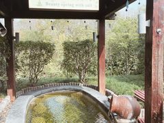 -扬州瘦西湖温泉