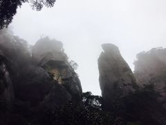 -少华山国家森林公园