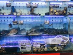 -日照大牌檔•小船海鲜(万平口店)