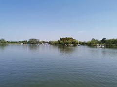 -杭州湾海上花田景区