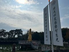 -报恩禅寺