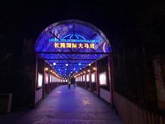 -广州长隆国际大马戏