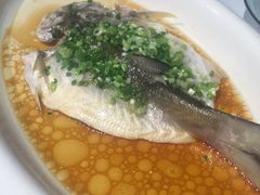 清蒸刁白鱼-禧宴Joyous Restaurant(禧园店)