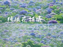 -古宇湖风景名胜区