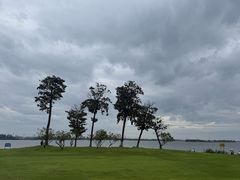 -漕湖湿地公园