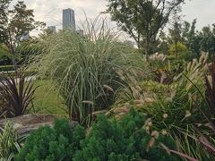 -上海山野camping·户外天幕烧烤·团建拓展营地