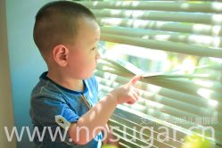 -艾米丽儿童摄影