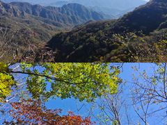 -大岭沟猕猴桃谷风景区