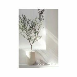 点击看大图 -艺匠摄影ARTIZ STUDIO(南京店)