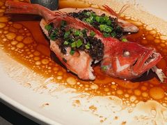-润苑·悦椿轩(徐汇万科中心一期店)