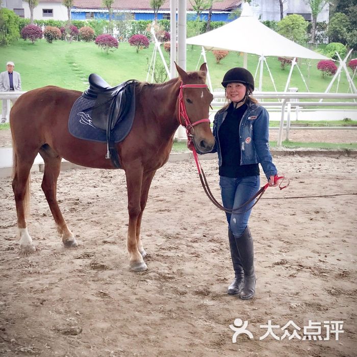 全进马术俱乐部图片-北京马术场-大众点评网