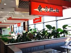 -东方既白(上海浦东国际机场)
