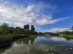 -西海子公园