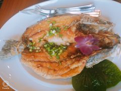 -Chom Cafe and Restaurant