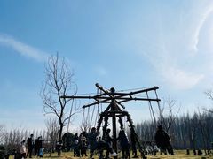 -黄海国家森林公园