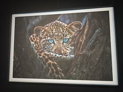 -罗红摄影艺术馆