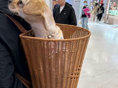 -大悦城(沈阳中街店)