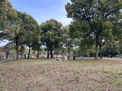 -苏州上方山国家森林公园