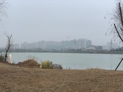 -官亭林海