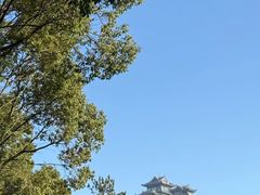 -呼吸森林·生态农庄农家乐私房菜