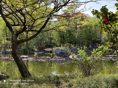 -吴淞炮台湾湿地森林公园烧烤区