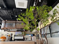 -Pekaa啤咖食肆Coffee&Bistro