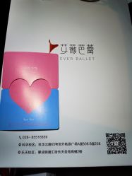 -艾薇芭蕾艺术中心