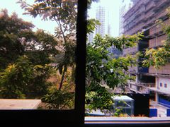 -东吴霸王兔(松青路店)