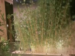 -新紫霞养生·影院足道·SPA(金山区店)