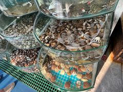-仙螺岛海鲜自助餐厅(总店)