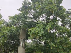-沙河三洞古桥公园