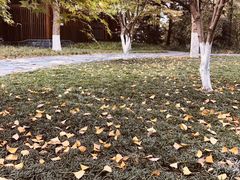 -常德桃花源景区