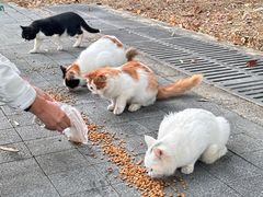 -北京中信金陵酒店