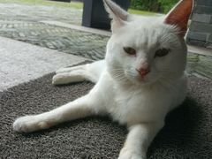 -扬州东关街文昌阁桔子水晶酒店