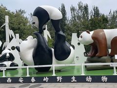 -西安秦岭野生动物园