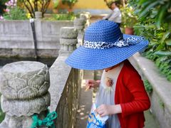 -普陀山慧济禅寺