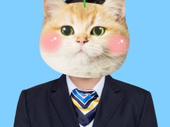 -iF摄影•全家福•证件照•形象照(南山店)