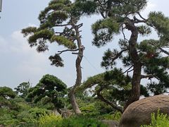 -罗红摄影艺术馆