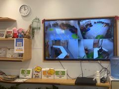 -金色雨林感统学能培训中心(武广校区)