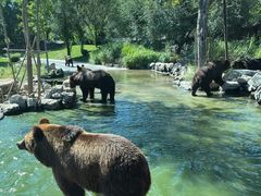 -北京野生动物园