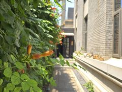-庐灶江南·江南菜·四合院Bistro(东直门雍和宫·原华侨宾馆店)