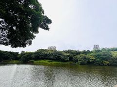 -深圳国际园林花卉博览园