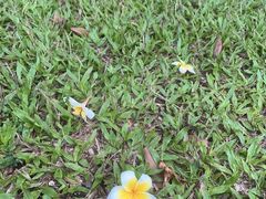 -亚龙湾海底世界