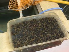 -小乡小镇·传承桐庐土菜·老板亲自烧的菜