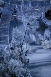 -花轿喜屋婚礼策划