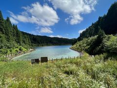 -武陵山森林公园