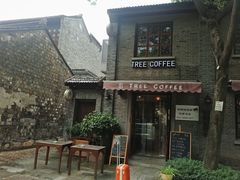 -两棵枇杷树