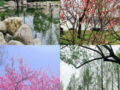 -唐城墙遗址公园